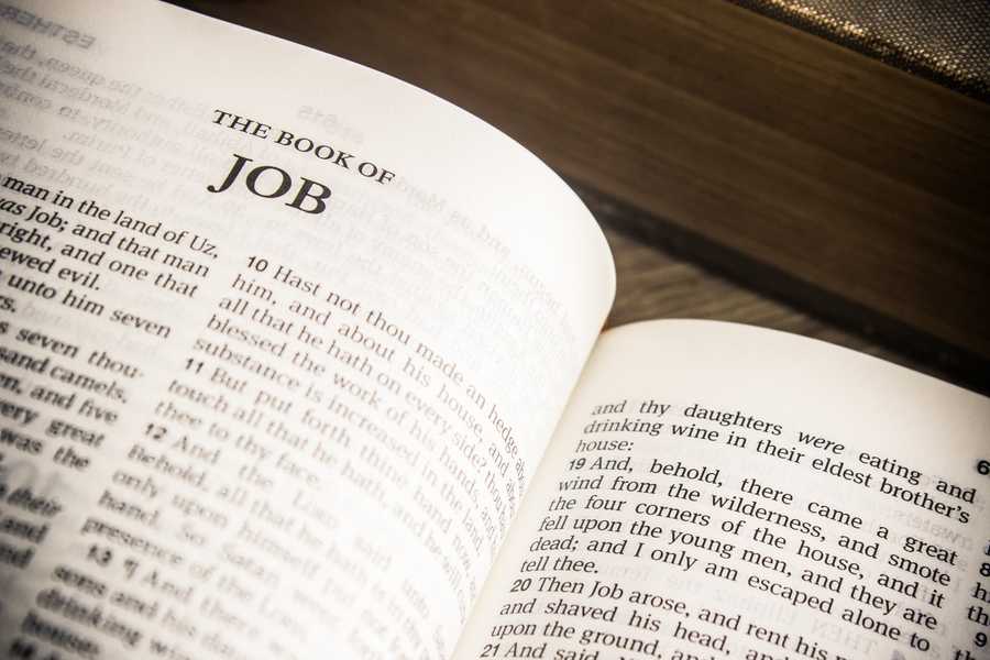 Quand le livre de l'emploi a-t-il été écrit?