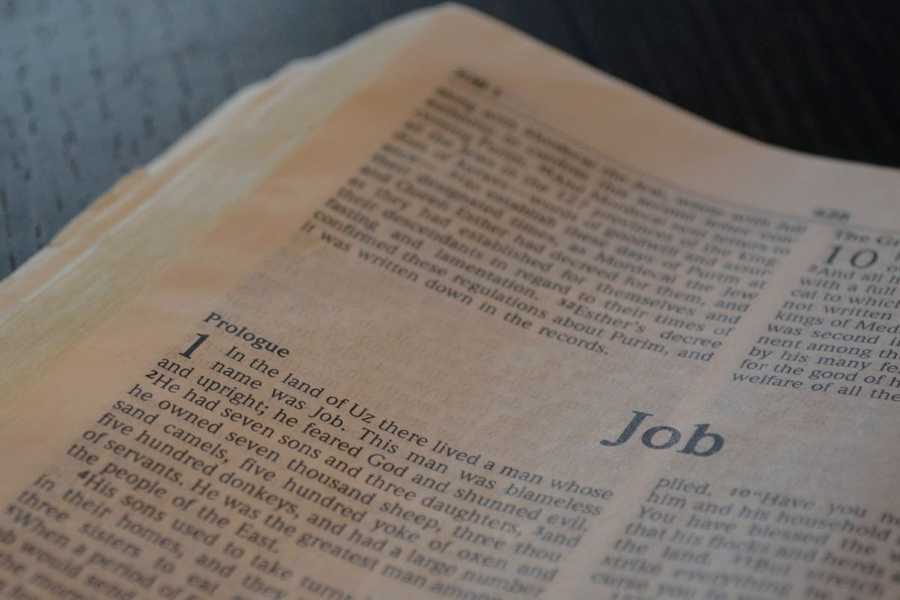 Que contribue le livre de Job à la Bible?