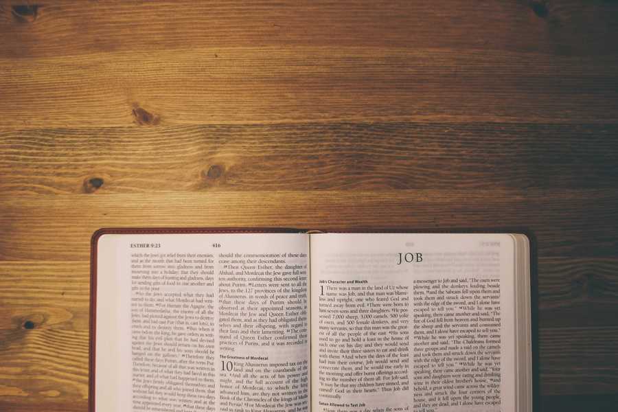 Quel est le but et le thème du livre de Job?