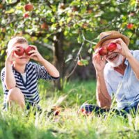 5 activités printanières pour toute la famille