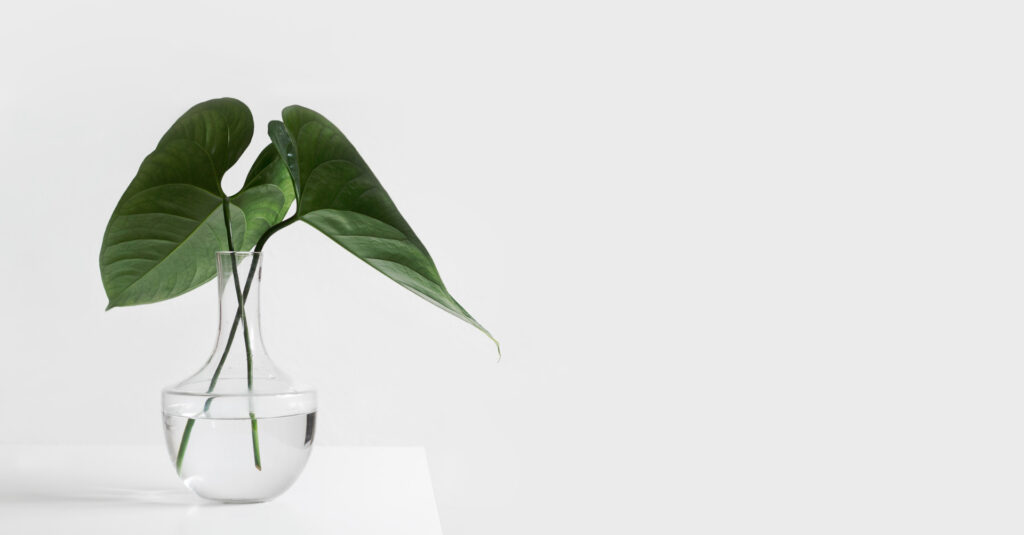 7 choses que vous pourriez oublier de nettoyer ce printemps