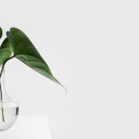 7 choses que vous pourriez oublier de nettoyer ce printemps