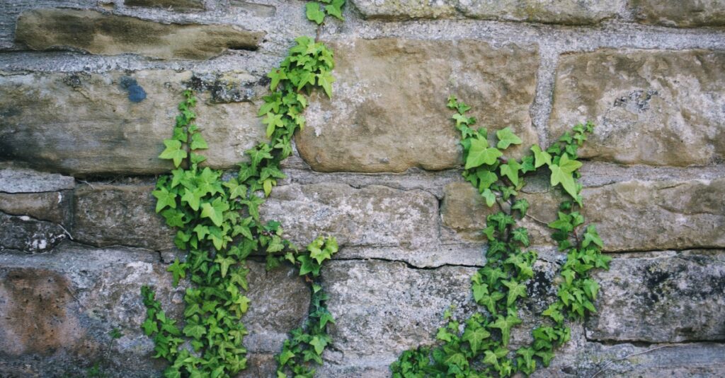 Prière quand tu frappes le mur | Prière quotidienne du 5 juillet