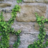 Prière quand tu frappes le mur | Prière quotidienne du 5 juillet